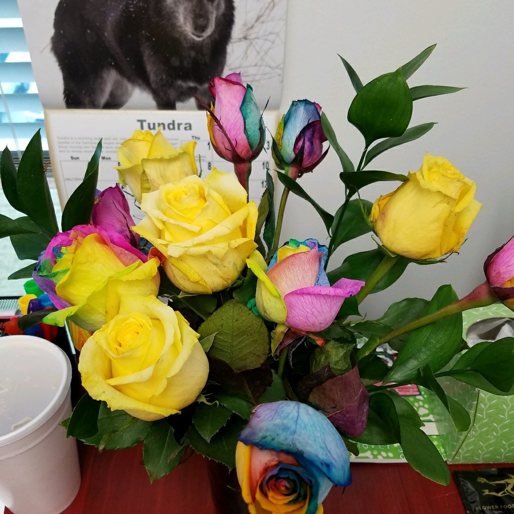 Meet your Posher, Olivia